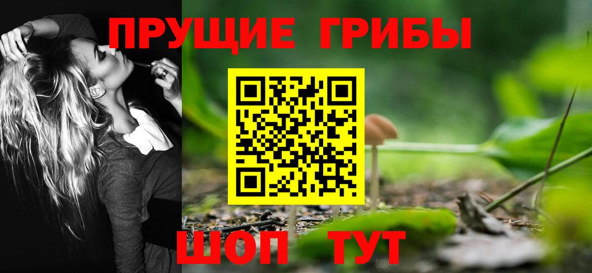 Галлюциногенные грибы Magic Shrooms  Вход с VPN  Верхняя Пышма 
